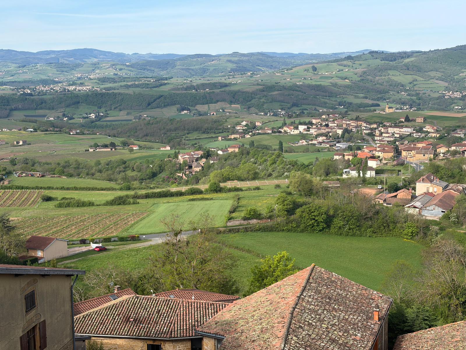 Beajoulais8