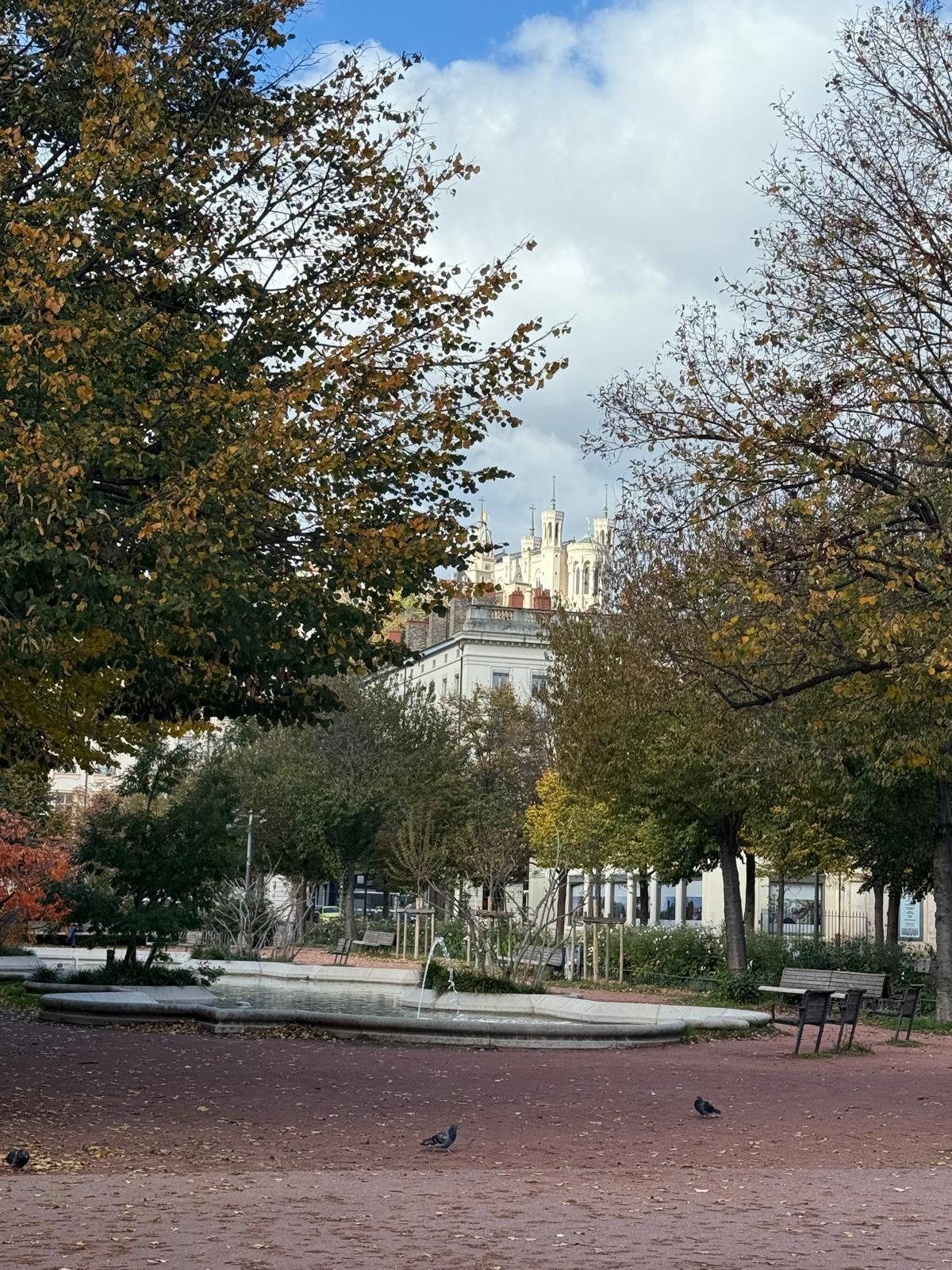Lyon14